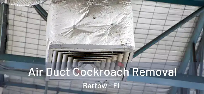 Air Duct Cockroach Removal Bartow - FL