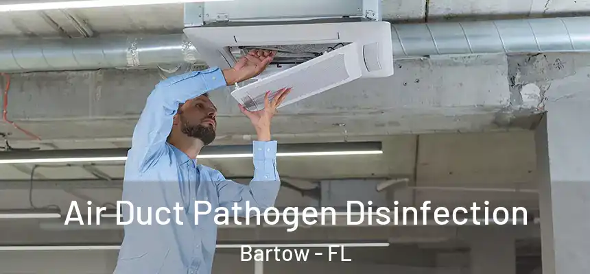  Air Duct Pathogen Disinfection Bartow - FL