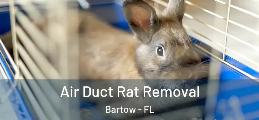Air Duct Rat Removal Bartow - FL