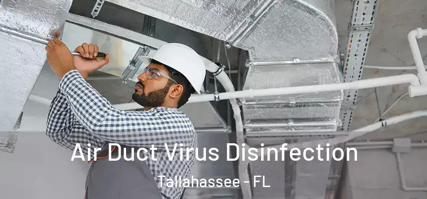 Air Duct Virus Disinfection Tallahassee - FL