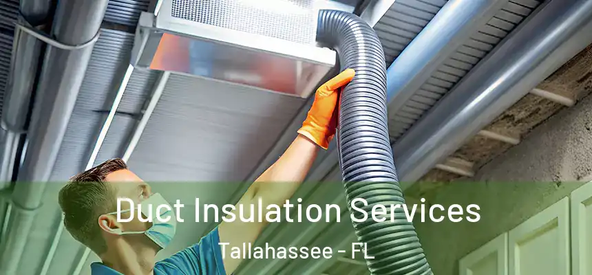 Duct Insulation Services Tallahassee - FL