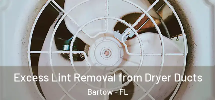 Excess Lint Removal from Dryer Ducts Bartow - FL