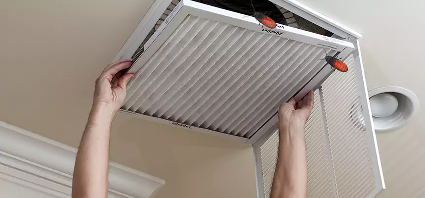 Preventive Cockroach-Proofing for Ducts in Tallahassee