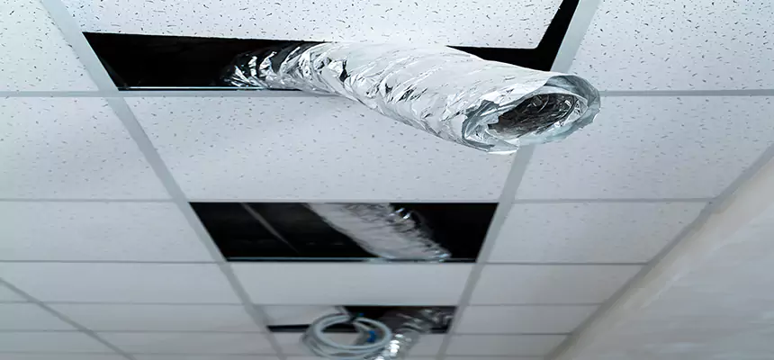 Our Air Duct Pet Hair Removal Services in Tallahassee, FL