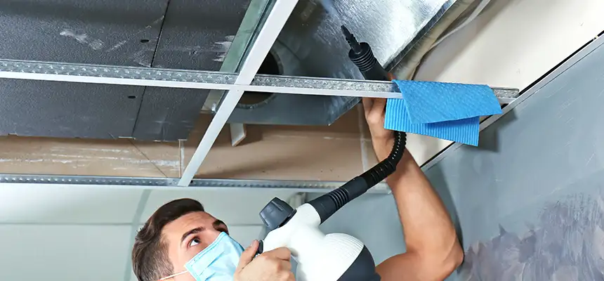 Our Air Duct Rodent Removal Services in Tallahassee, FL