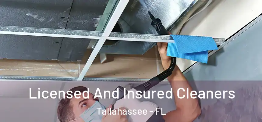 Licensed And Insured Cleaners Tallahassee - FL