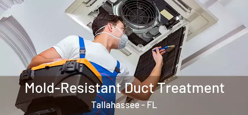 Mold-Resistant Duct Treatment Tallahassee - FL