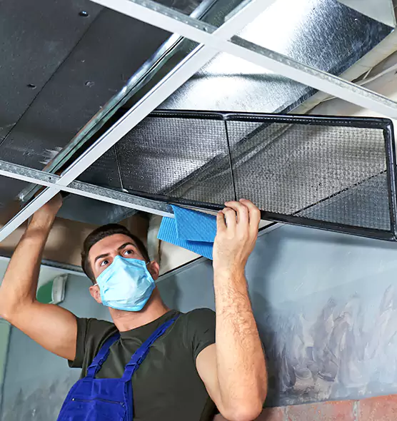Professional Air Duct Pollen Cleaning in Tallahassee, FL