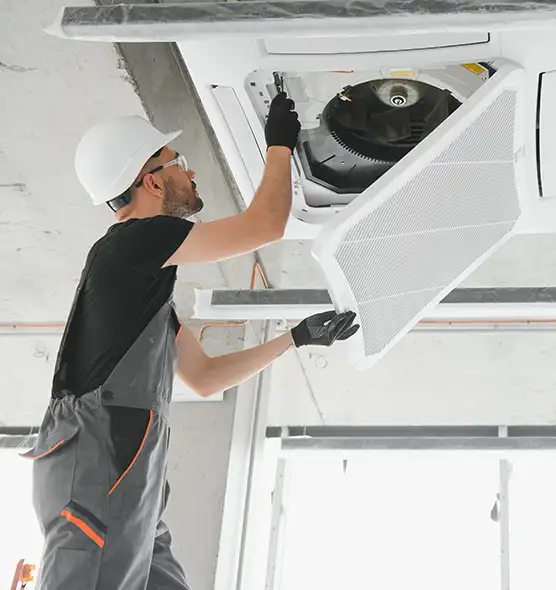 About Air Duct Rodent Removal in Bartow, FL