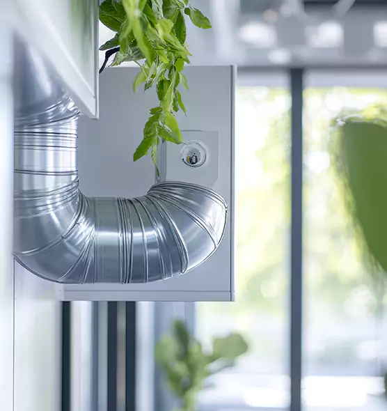 Professional Eco-Safe Dryer Vent Cleaning in Tallahassee, FL