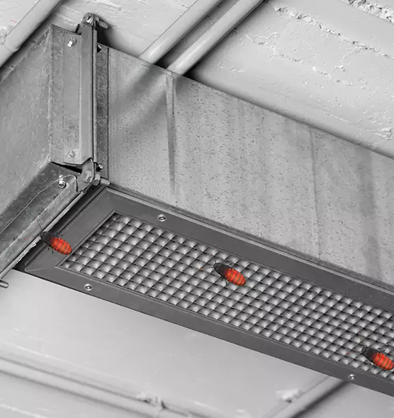 Affordable Insect Removal from Air Ducts in Tallahassee, FL