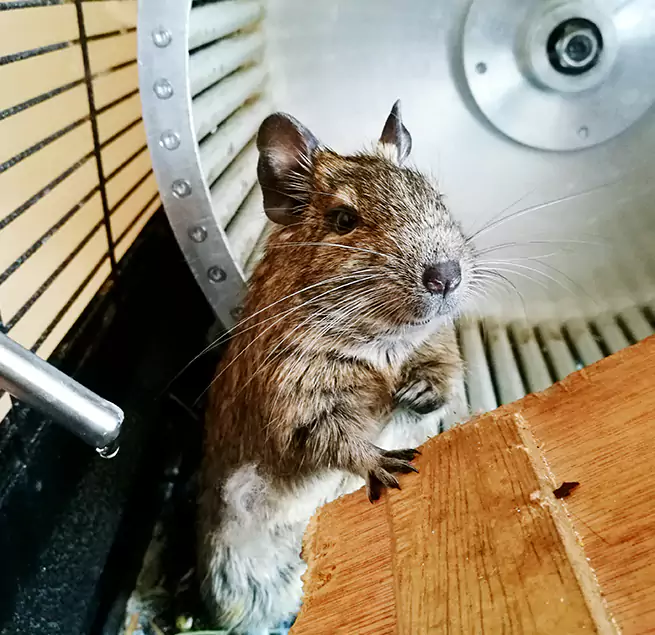 Why Homeowners & Businesses Trust Us Bartow, FL?