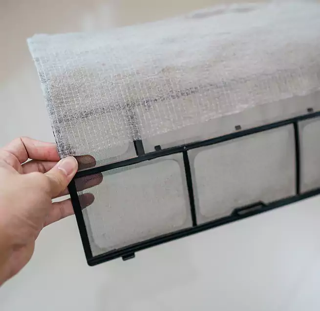 Why Homeowners & Businesses Trust Us in Tallahassee, FL?