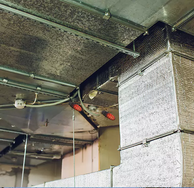 Why Homeowners & Businesses Trust Us Tallahassee, FL?